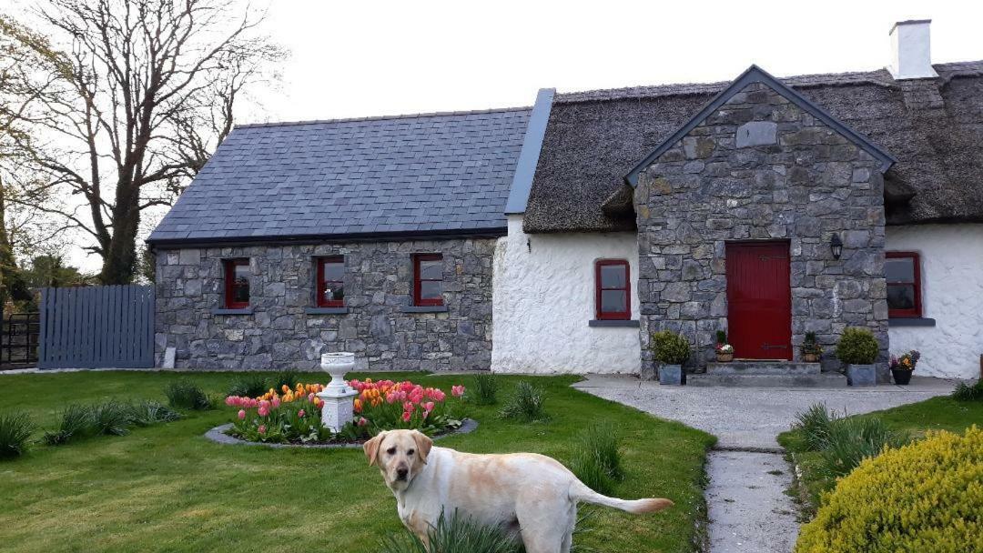 The Thatched Cottage B&B Claregalway Extérieur photo